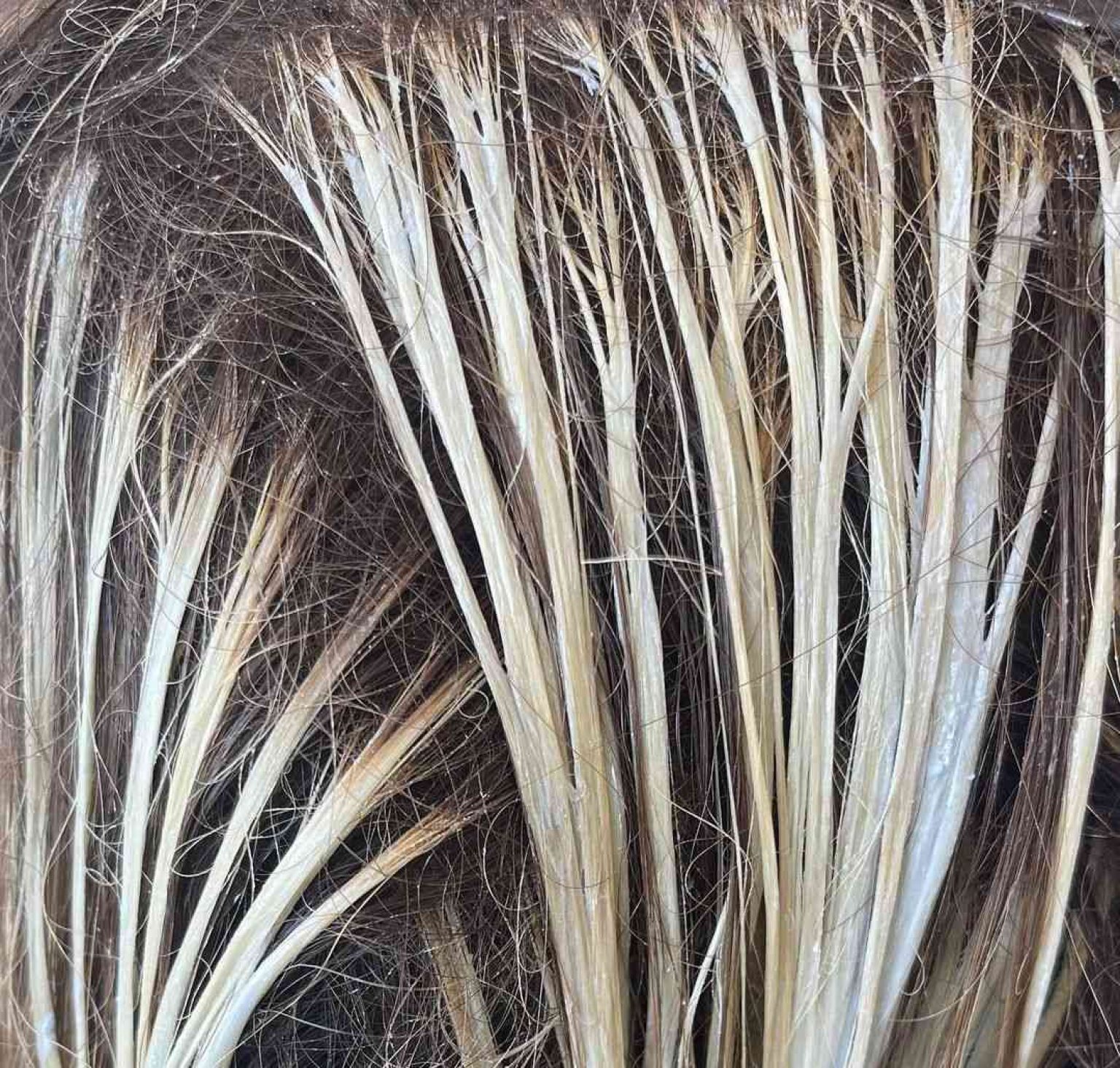 Does Developer Lighten Hair By Itself? (20, 30, 40 Volume)