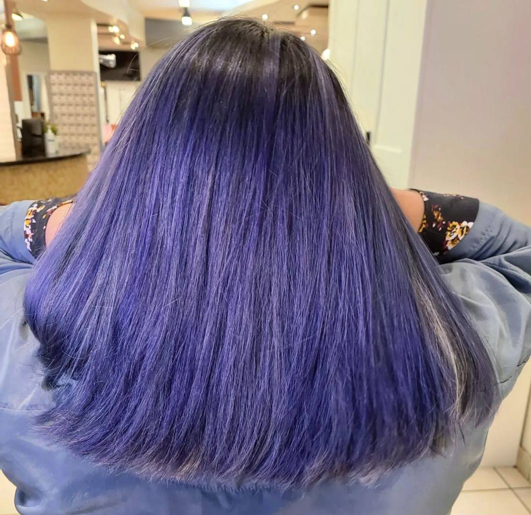 Dark Blueberry hair dye