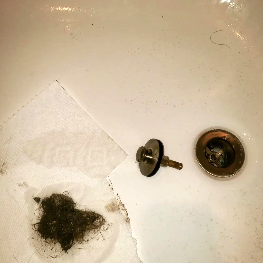 remove hair from shower drain