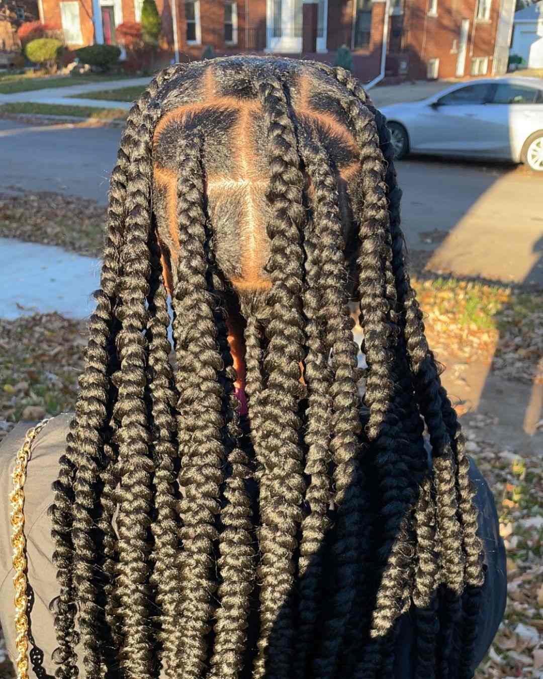 Butterfly passion braids